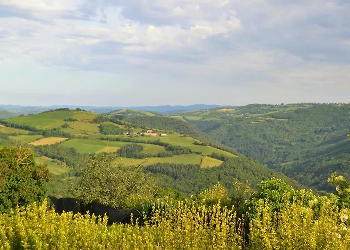 La Colline Du Perche *